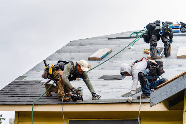 Professional Roof Inspection technician working in Larchmont, NY
